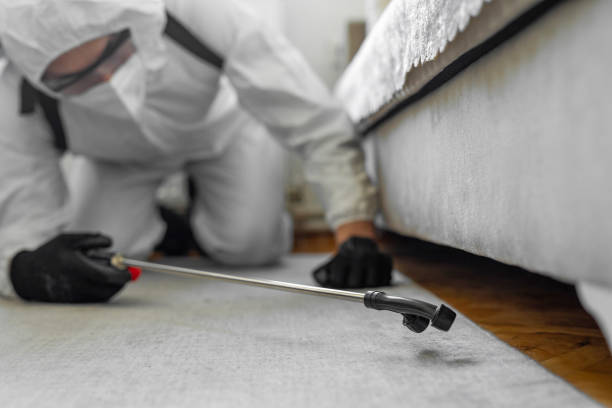 Professional Termite Control technician working in Weatogue, CT